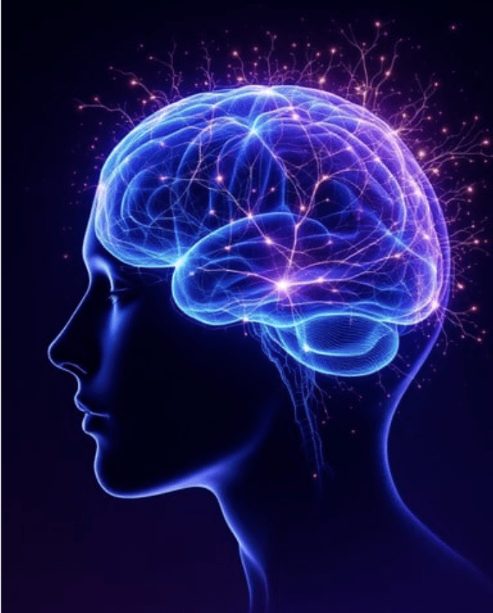Kundalini Technology and Neuroplasticity Brain Image